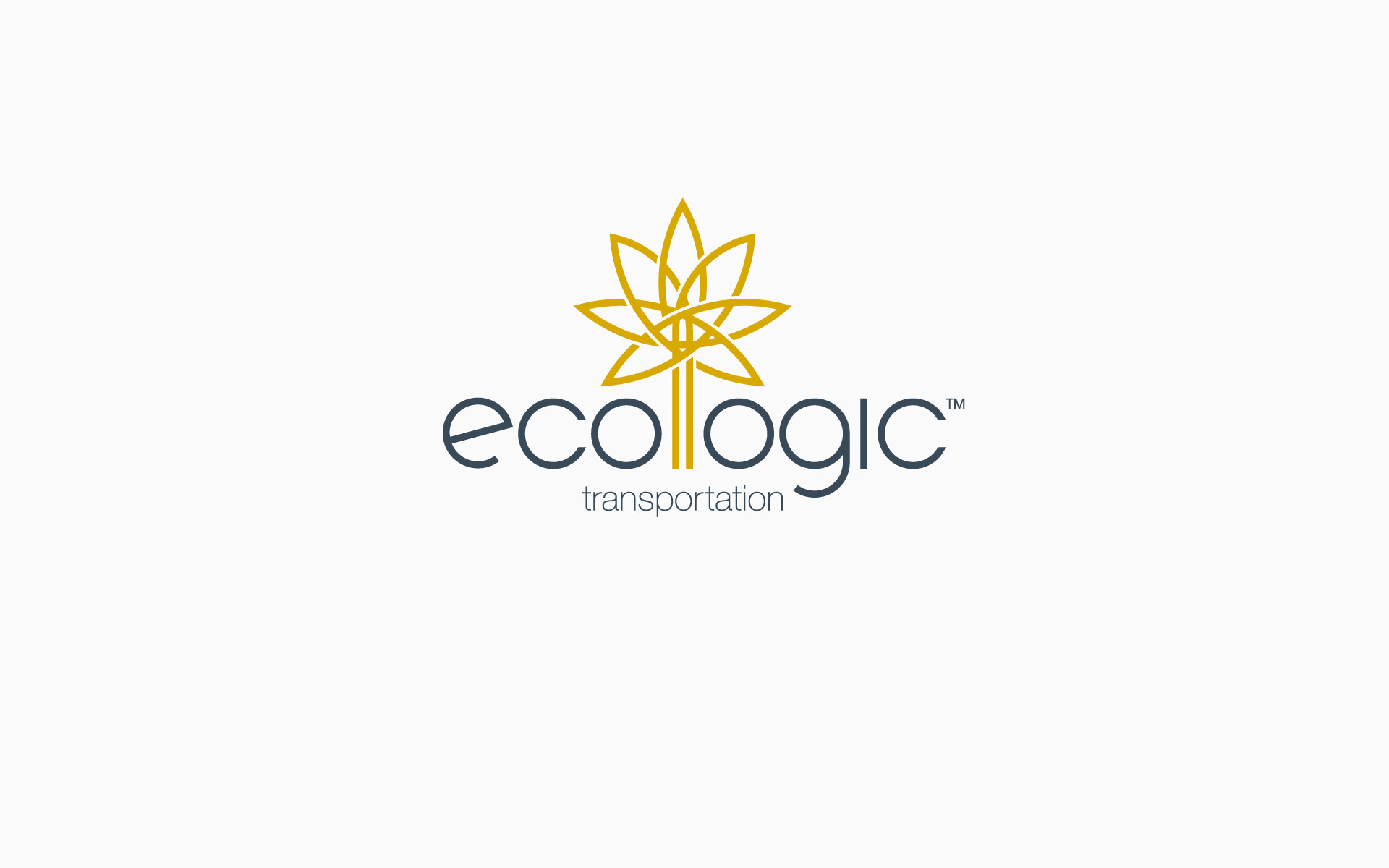 Ecologic Transportation Brand Identity